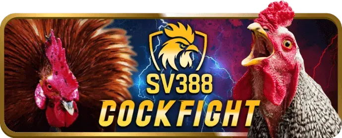 Hình ảnh chiến lược cá cược thể thao hiệu quả tại 33win6 win